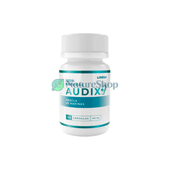 Audix